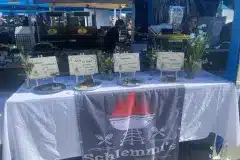 IMG_0121-1.JPEG